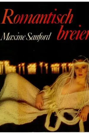 Beperkte Voorraad Boek: Romantisch Breien