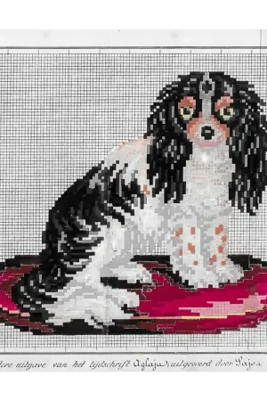 Must-Have Patroon: Hondje