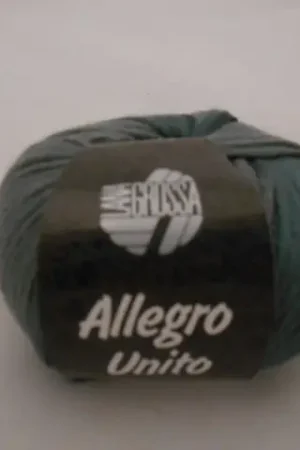 Allegro Unito Kleurnummer 108 Snelle Levering