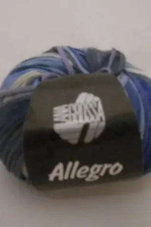 Allegro Kleurnummer 003 Fabrieksprijs