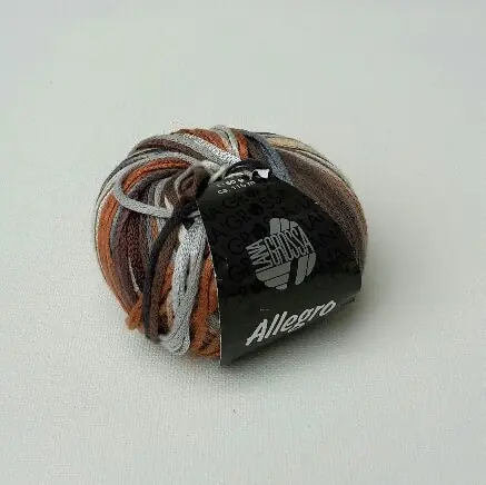 Allegro Kleurnummer 010 Laatste Kans