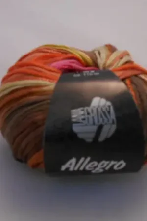 Allegro Kleurnummer 018 Flitsaanbieding