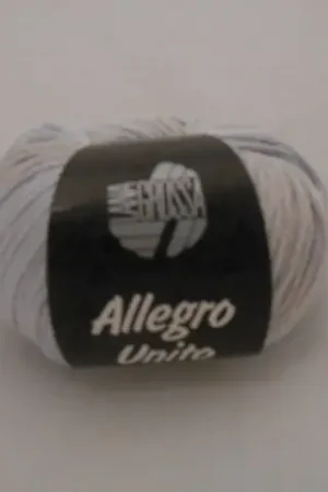 Allegro Unito Kleurnummer 104 Nu Kopen